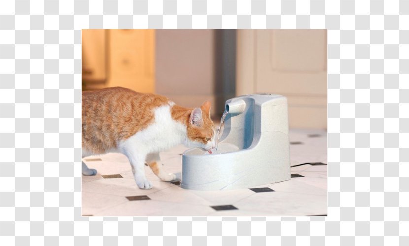 Cat Dog Whiskers Drinking Fountains - Pet Shop Transparent PNG