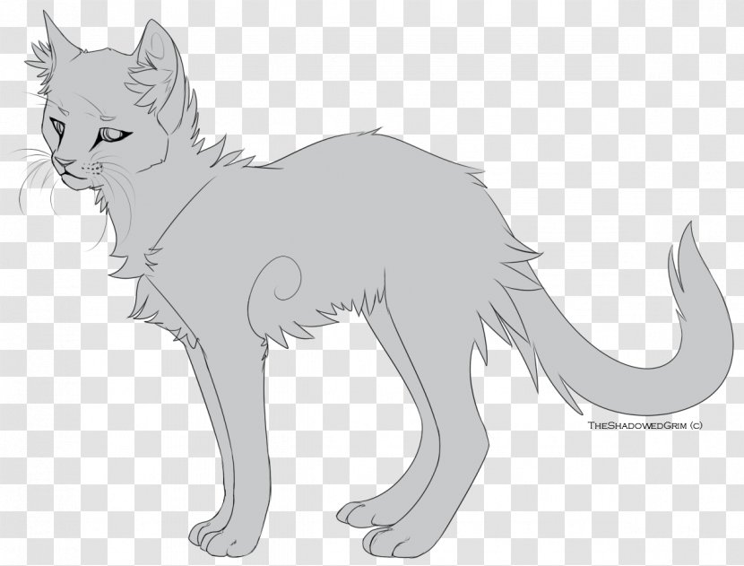 Line Art Whiskers Cat Ravenpaw Drawing - Dog Like Mammal - Painted Transparent PNG