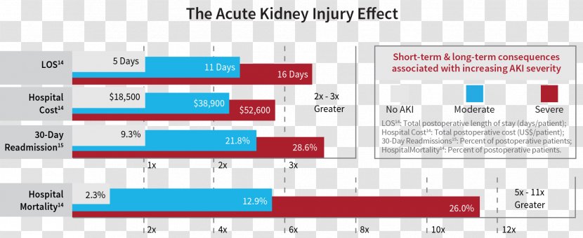 Acute Kidney Failure Disease Chronic Mortality Rate - Software - Brand Transparent PNG