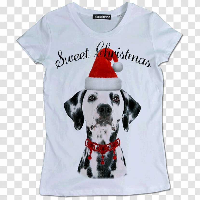Dalmatian Dog Puppy Border Collie Basset Hound Breed - T Shirt Transparent PNG