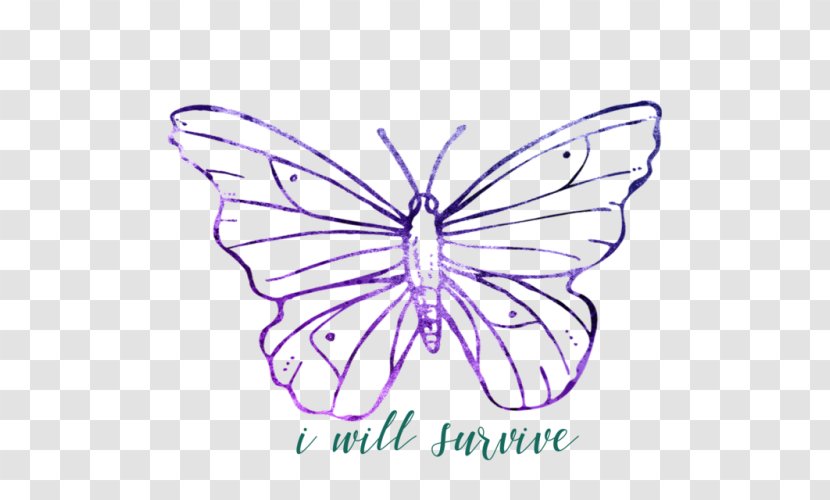 Butterfly Clip Art - Insect Transparent PNG