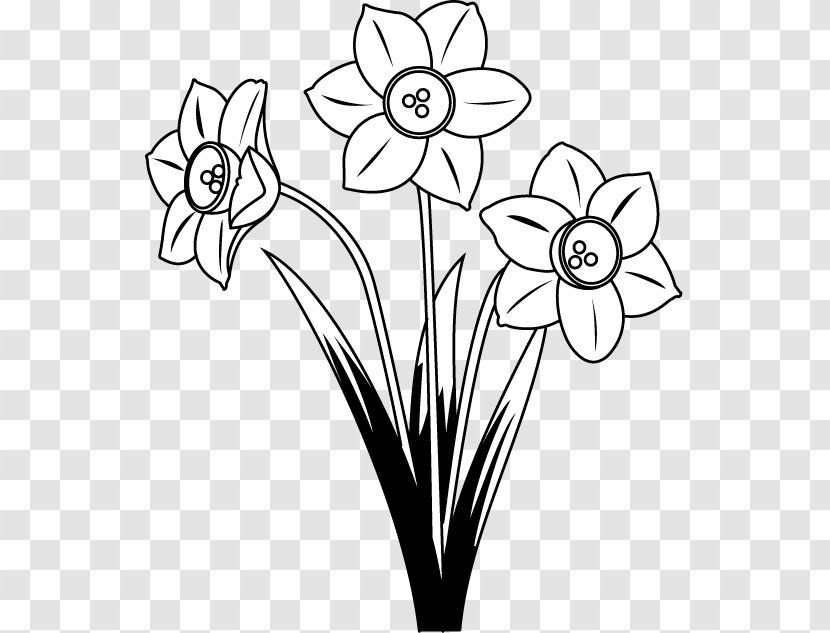 Floral Design Flower Drawing Art - Plant Stem Transparent PNG