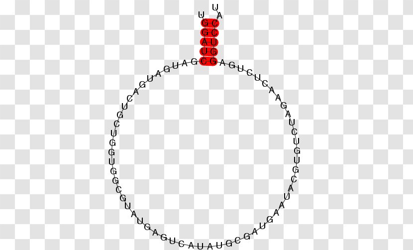 Scouting For Boys World Scout Emblem Boy Scouts Of America Cub - Necklace - Small Nucleolar Rna Snord50 Transparent PNG