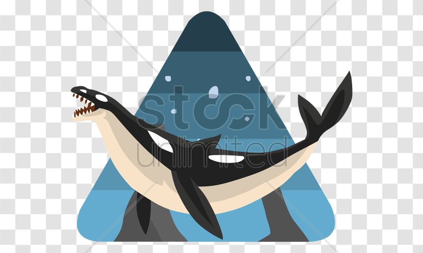 Dolphin Clip Art Vector Graphics Killer Whale Whales - Fish Transparent PNG