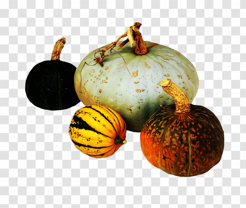 Pumpkin - Plant - Gourd Squash Transparent PNG