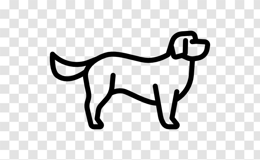 Avignon Bichon Frise - Dog Like Mammal - Royaltyfree Transparent PNG