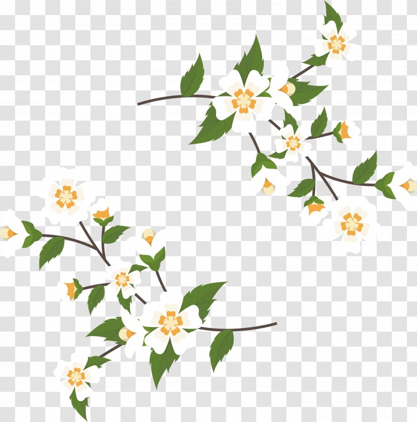 Arabian Jasmine Euclidean Vector Floral Design - Tree - Cane Title Box Transparent PNG
