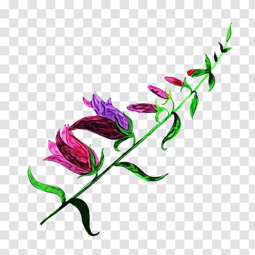 Floral Design Transparent PNG