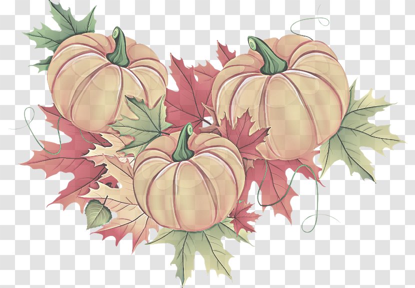 Pumpkin - Plant - Vegetable Fruit Transparent PNG