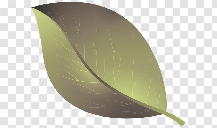 Leaf Plant Table Anthurium Sail Transparent PNG