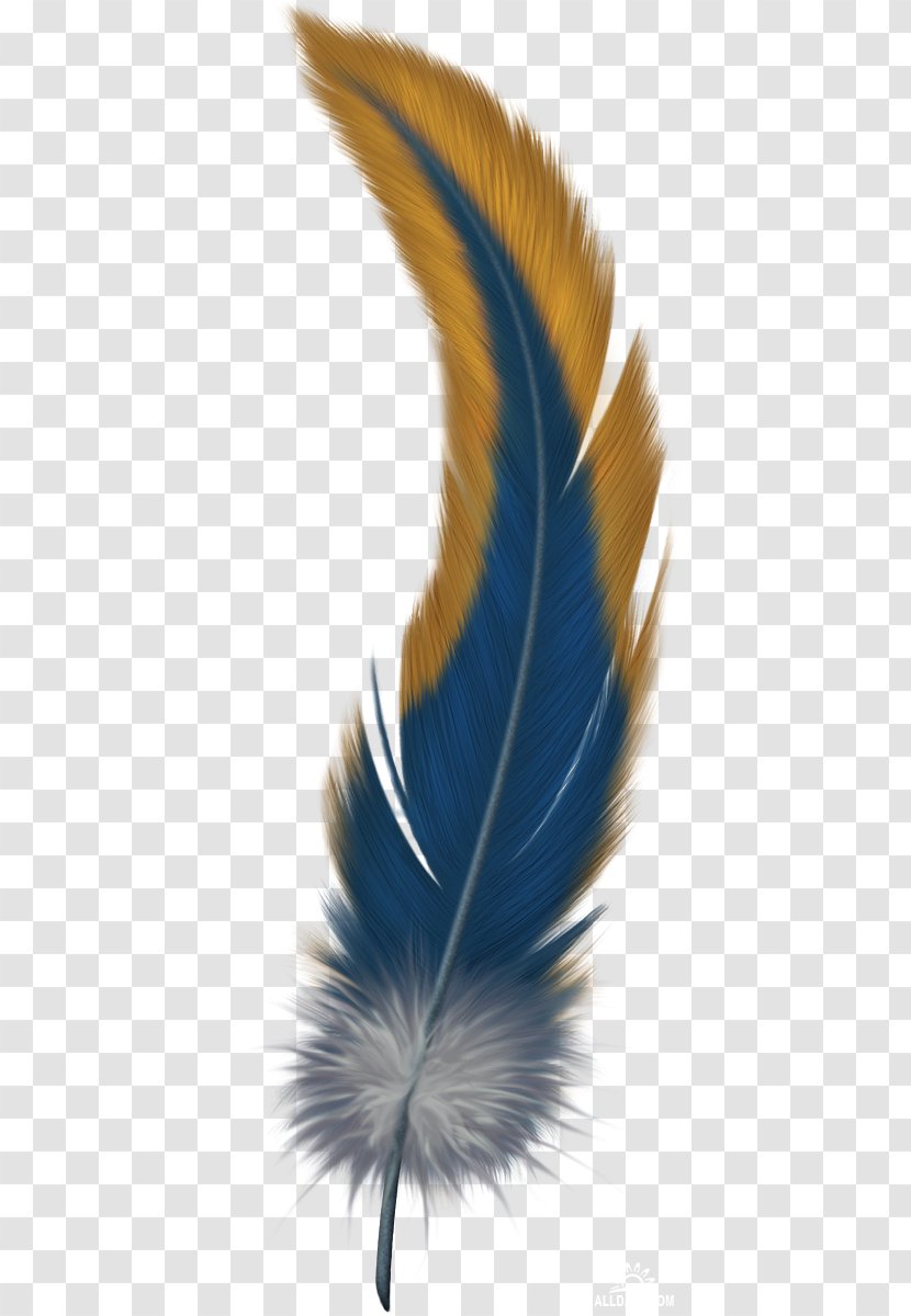 Feather Bird Clip Art - Wing Transparent PNG