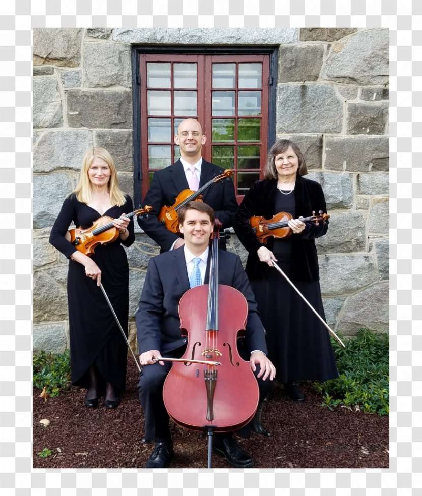 Violone Cello Violin String Quartet - Frame - The Joy Of Ceremony Transparent PNG