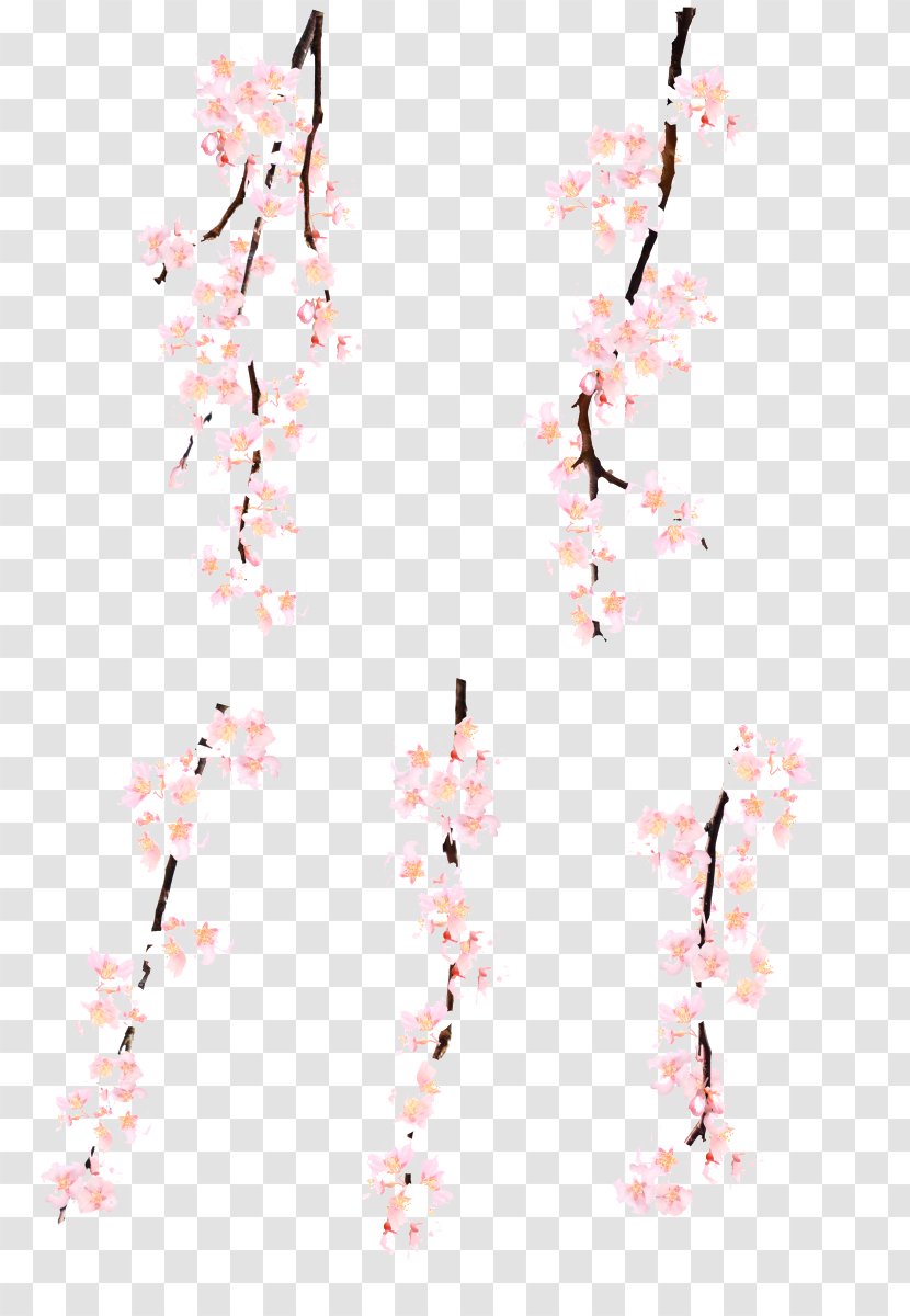 Pink Cherry Blossom Watercolor Painting - Clothing - Blossoms Transparent PNG