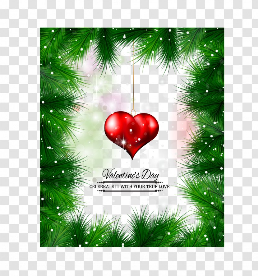 Christmas Valentine's Day - Fir Transparent PNG