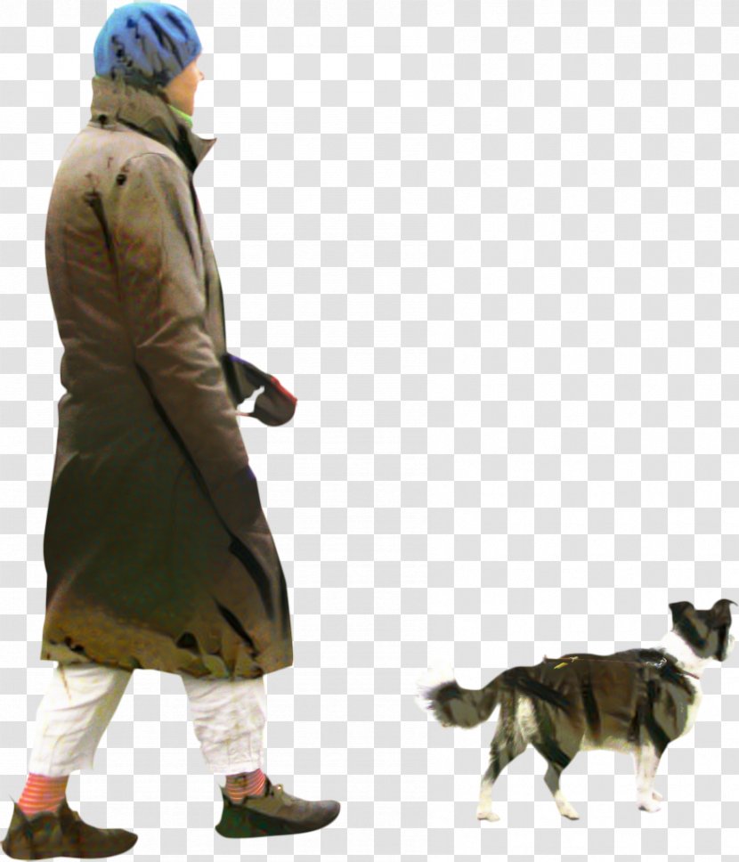 Border Collie - Dog Clothes - Outerwear Transparent PNG