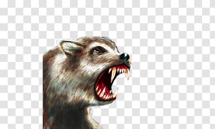 Gray Wolf Raccoon Dire The Battle For Wesnoth Snout Transparent PNG