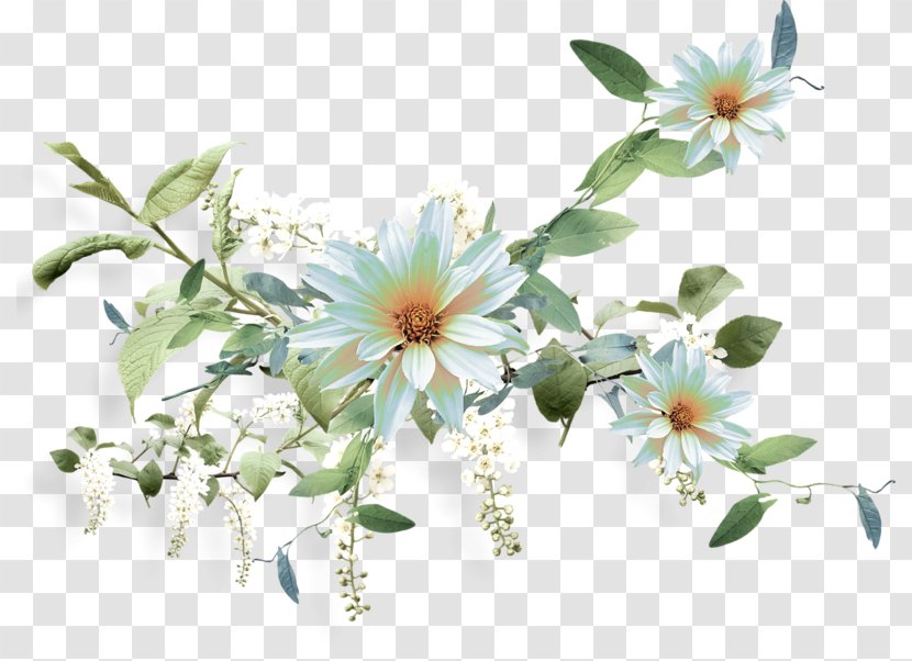 Clip Art - Branch - Flower Transparent PNG