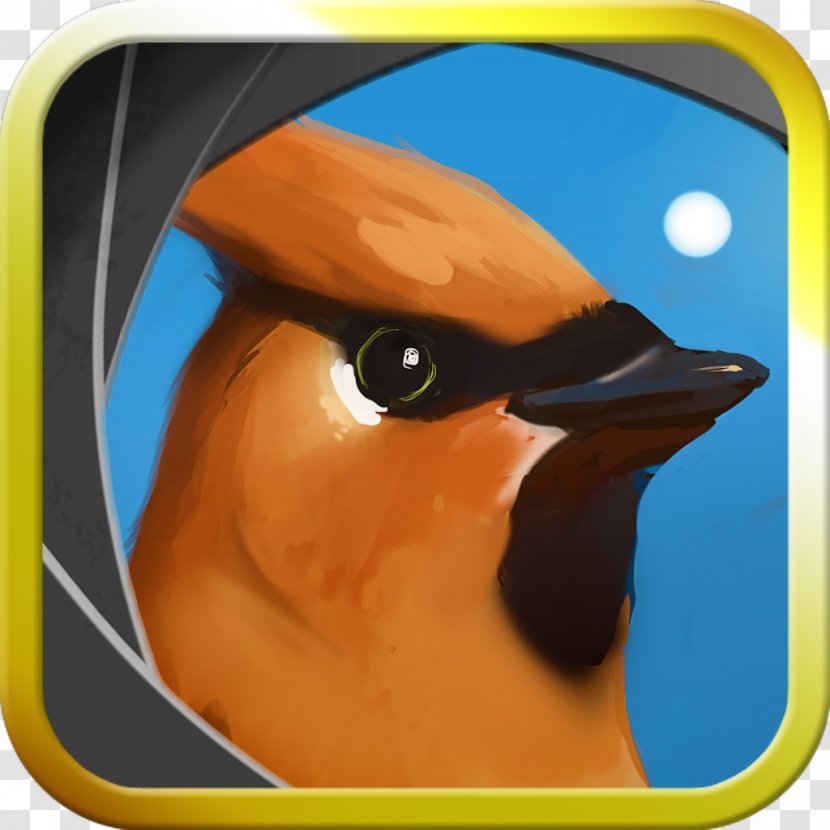 Beak Close-up Animated Cartoon - Orange Transparent PNG