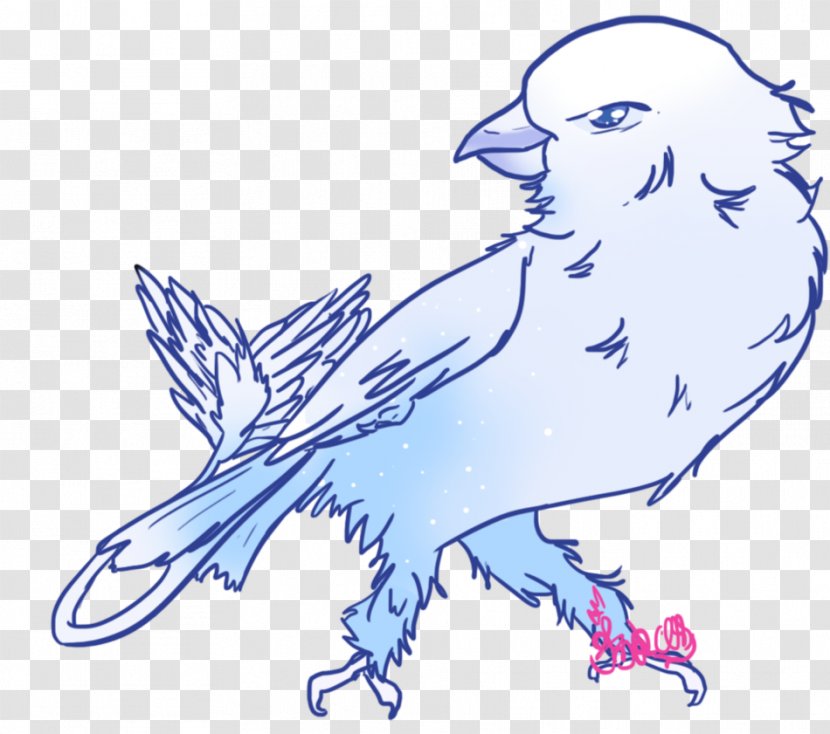 Beak Line Art Feather Clip - Fauna Transparent PNG