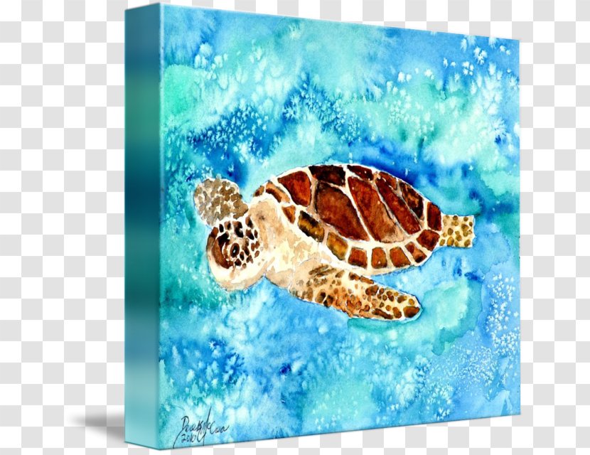 Sea Turtle Watercolor Painting Art Museum - Life Transparent PNG
