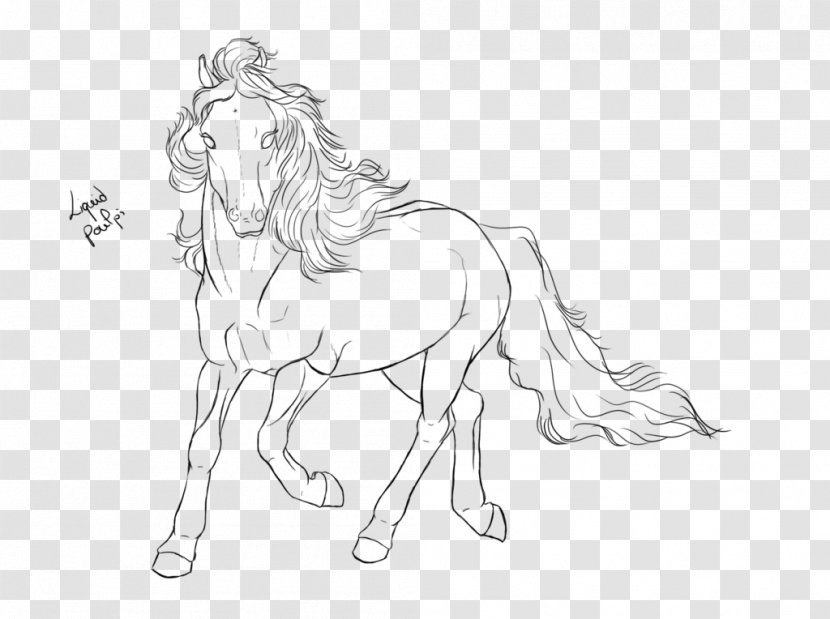 Mustang Pony Mane Line Art Draft Horse - Halter Transparent PNG