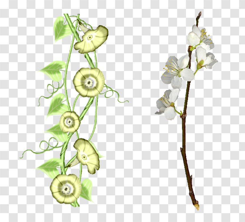 Vector Graphics Image Download Logo - Cut Flowers - Plant Transparent PNG