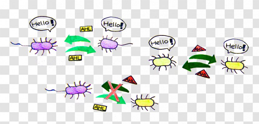 Bacteria Unicellular Organism Archaeans Microorganism - Technology - Homoserine Transparent PNG