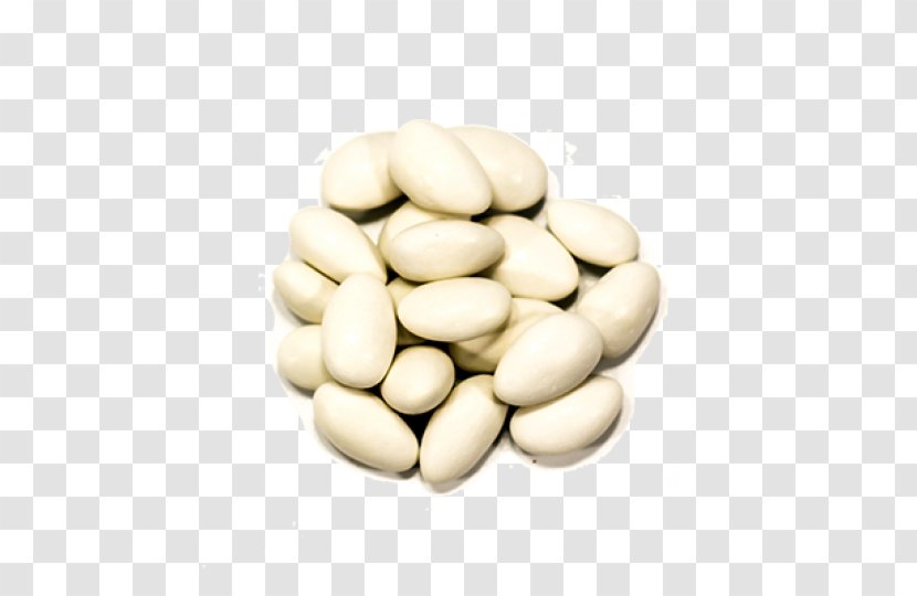 Lima Bean Common Commodity Wild - Castanha Transparent PNG