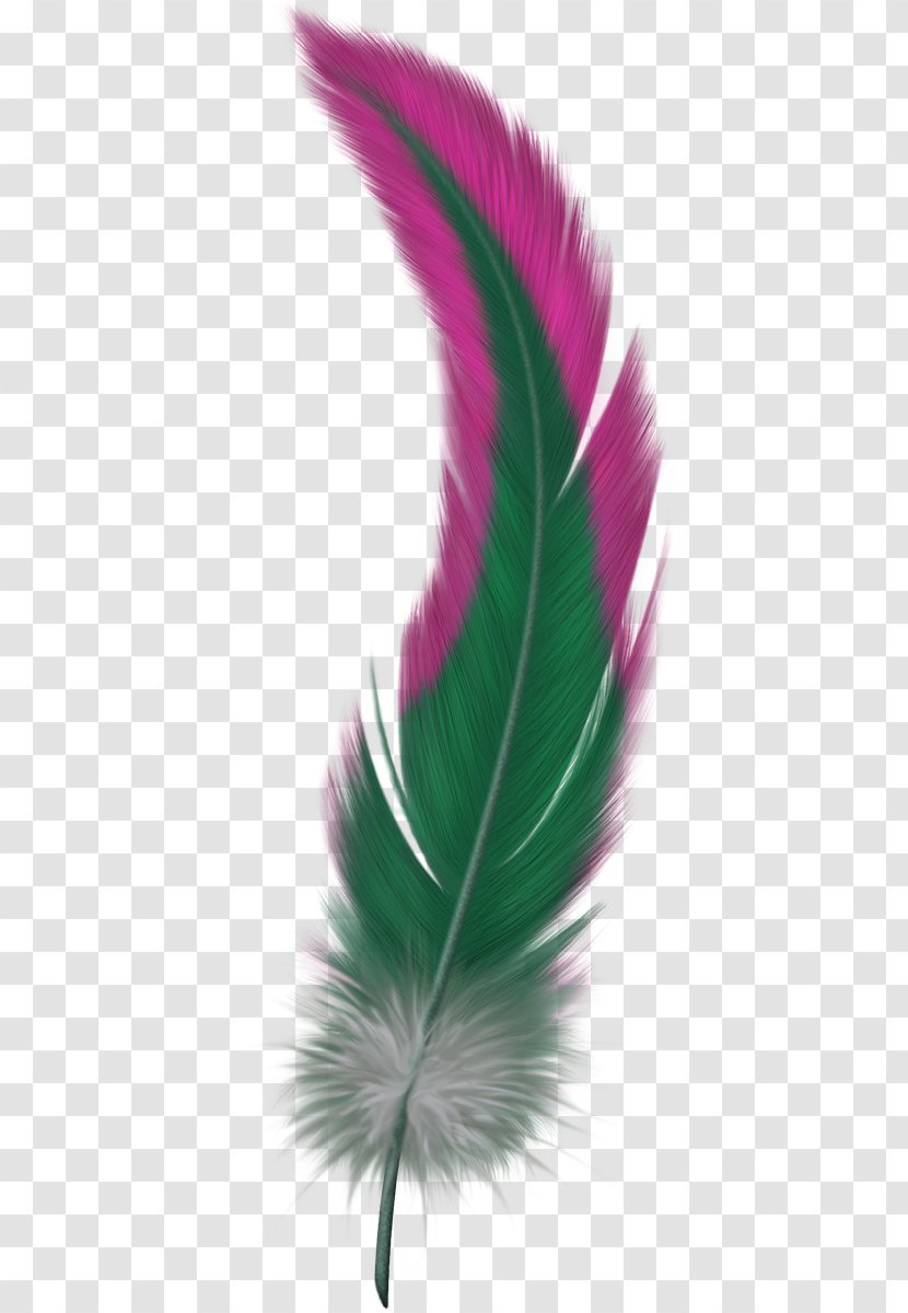 Bird Flight Feather - Magenta Transparent PNG