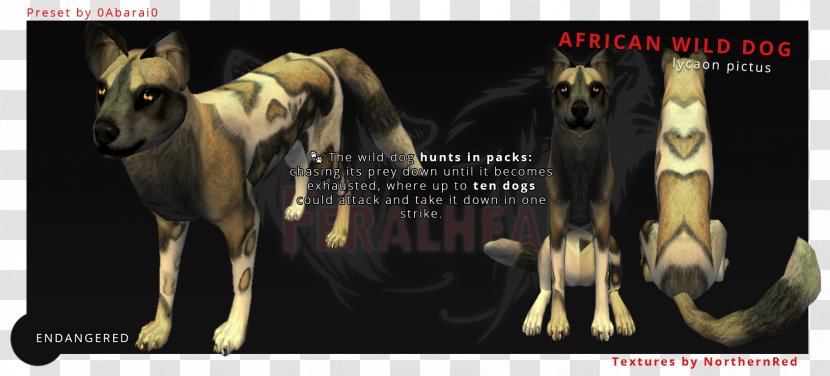 Whippet African Wild Dog Feral Pit Bull German Shepherd Transparent PNG