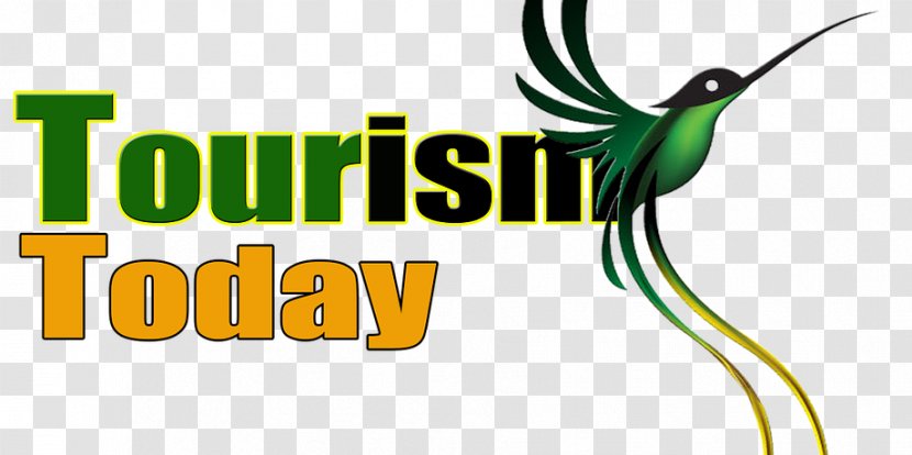 Jet Medical Tourism School Education Beak - Tourist Travel Logo Transparent PNG