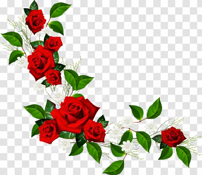 Rose Flower Clip Art - Petal - Red Frame Pic Transparent PNG