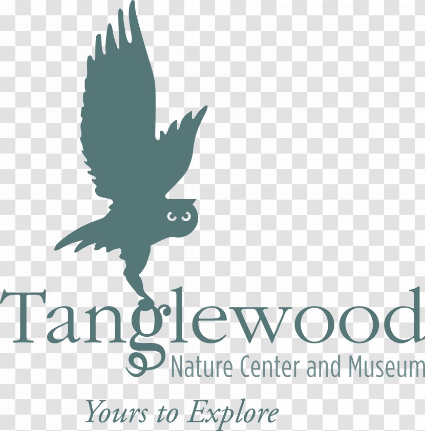 Tanglewood Nature Center Elmira Museum Logo Leadership: It's Child's Play - Natural History - Explorer Transparent PNG