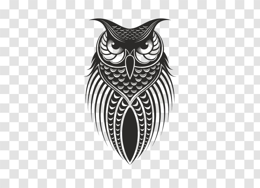 Owl Drawing Bird - Cool Black Transparent PNG