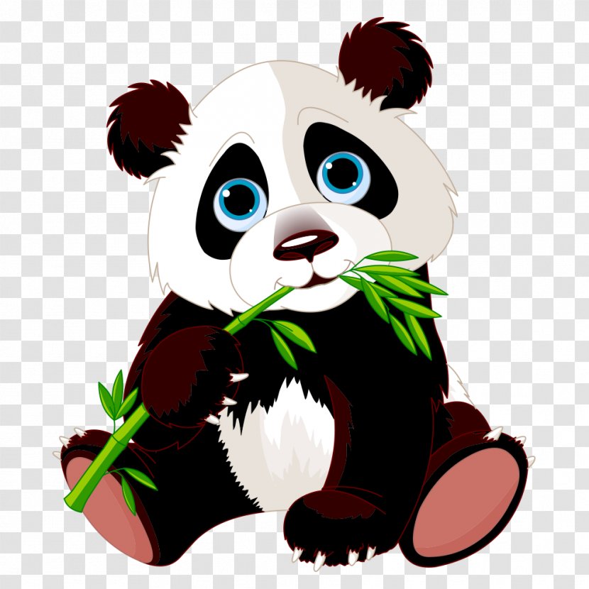 Giant Panda Stock Photography Clip Art - Bamboo - Eating Transparent PNG