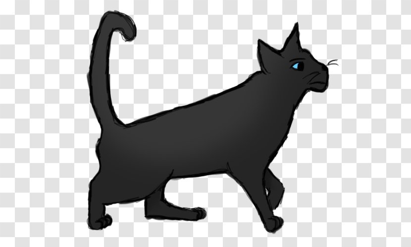 Whiskers Kitten Domestic Short-haired Cat Black Dog - Like Mammal Transparent PNG