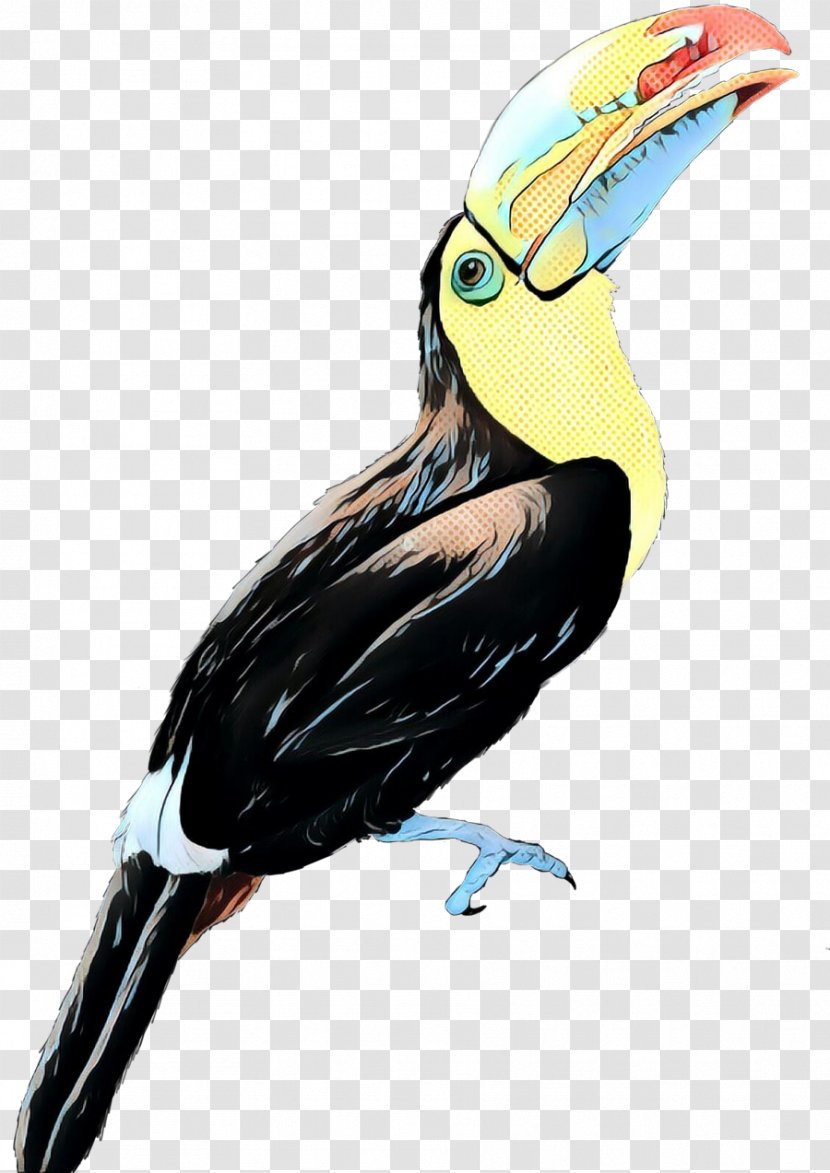 Hornbill Bird - Keelbilled Toucan - Coraciiformes Yellowthroated Transparent PNG