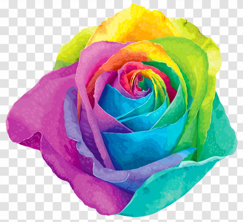 Flower Rainbow Rose Clip Art - Floristry - Multicolored Transparent Image Transparent PNG