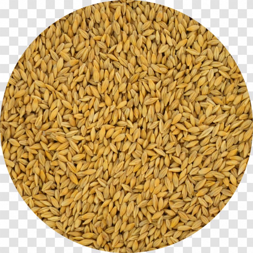 Oat Barley Cereal Whole Grain Spelt Transparent PNG