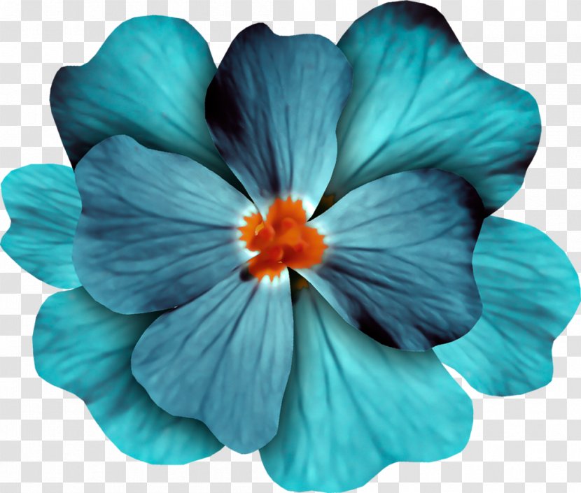 Blue Flower Purple - Flowering Plant Transparent PNG