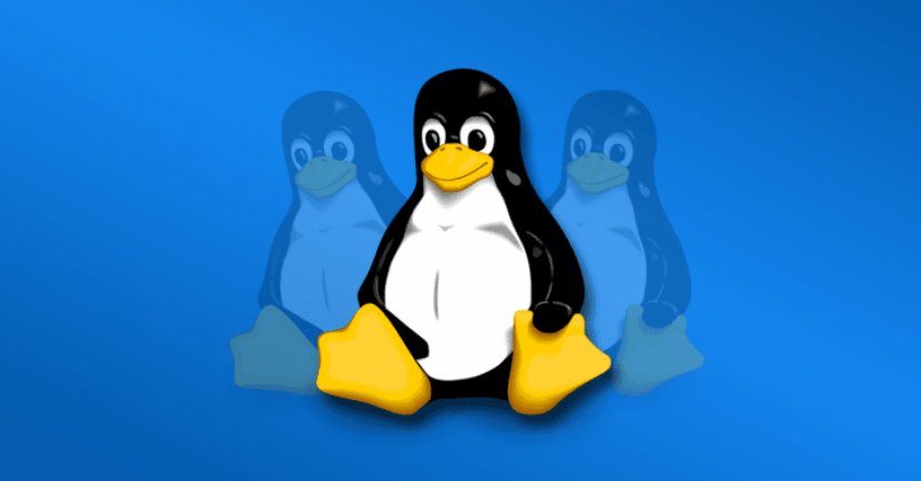 Operating Systems GNU/Linux Computer Software Windows Subsystem For Linux - Kernel Transparent PNG