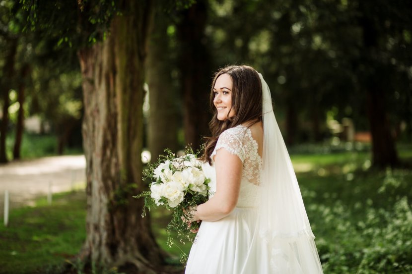 Bride Wedding Dress Veil - Frame Transparent PNG