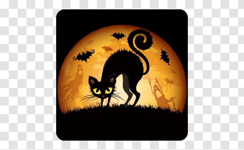 Halloween Desktop Wallpaper Cat Wallpapers - Vertebrate - Stage Transparent PNG