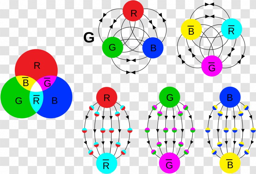 Particle Physics Quark Color Charge Gluon - Arbol Transparent PNG