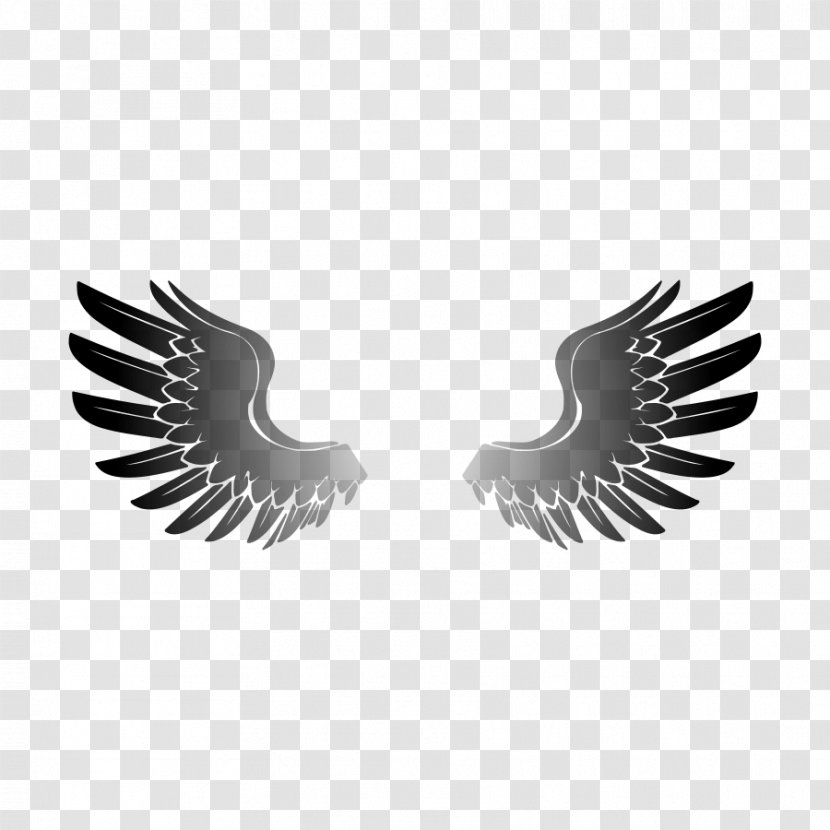 Eagle Wing Clip Art - Black And White - Wings Cliparts Transparent PNG