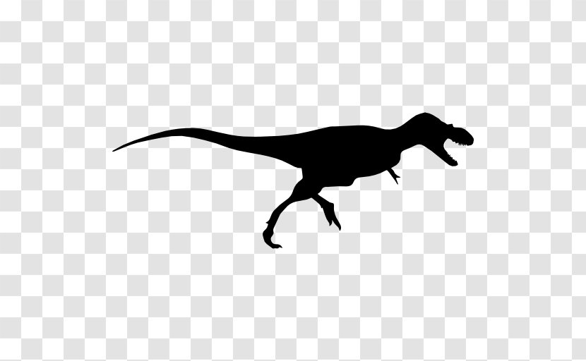Tyrannosaurus Albertosaurus Velociraptor Dinosaur Deinonychus - Vector Transparent PNG