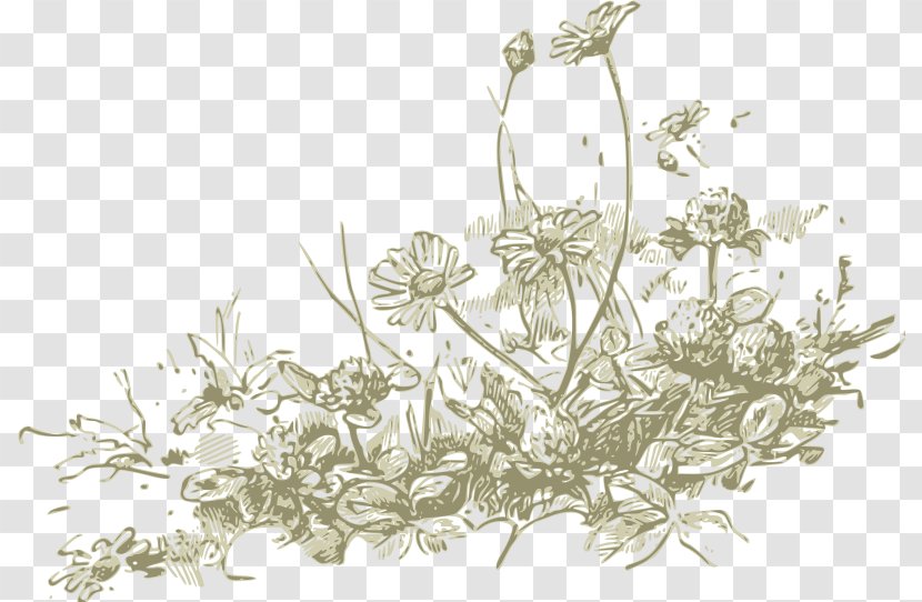 Wildflower Drawing Clip Art - Black And White - Chrysanthemum Transparent PNG