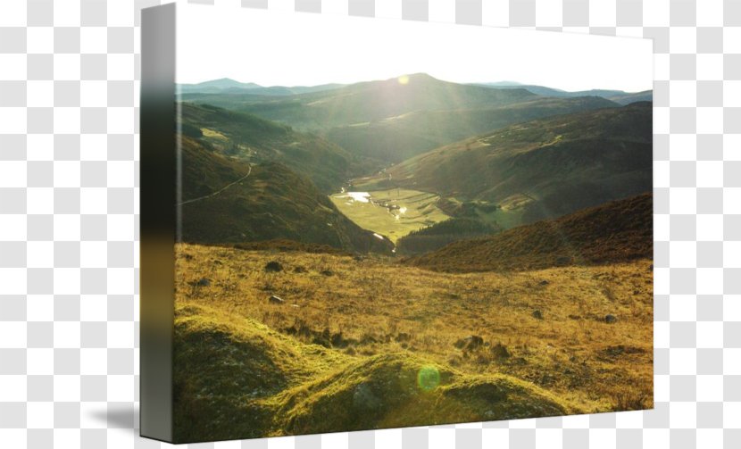 Lake District Hill Station - Grass - Country Side Transparent PNG