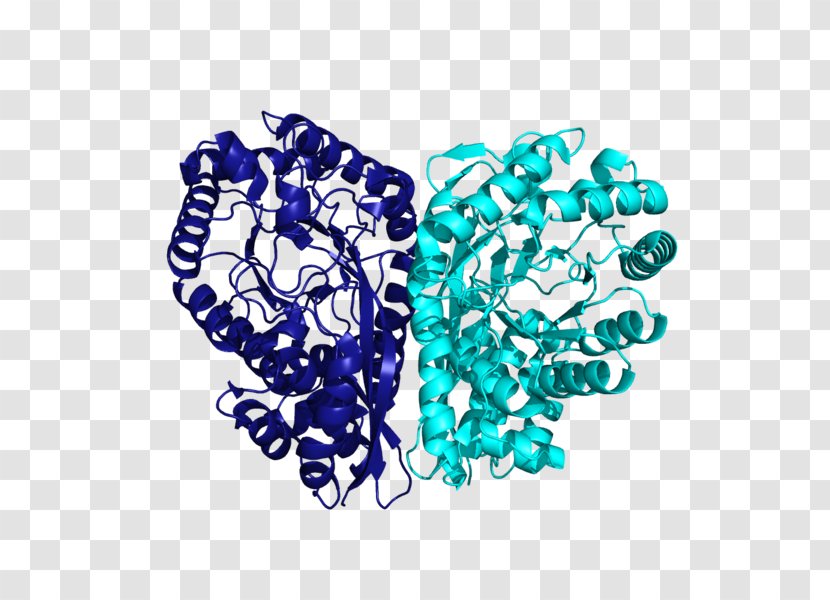 Methylaspartate Ammonia-lyase L-threo-3-Methylaspartate Enzyme - Chemistry - Enzymes Pennant Transparent PNG