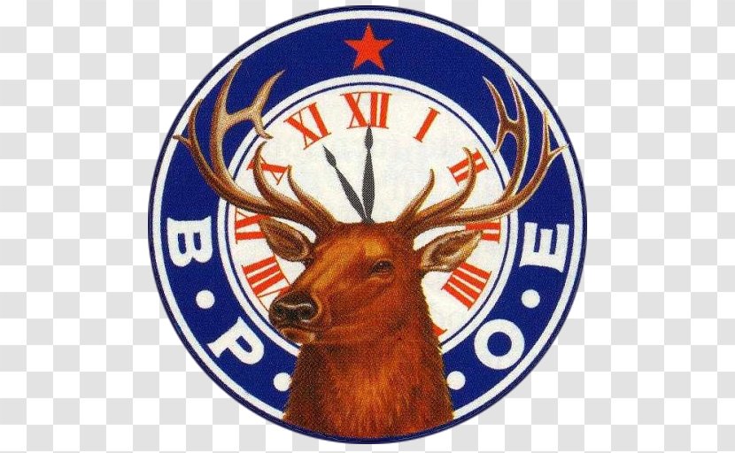 Benevolent And Protective Order Of Elks Seminole Lodge #2519 Accommodation National Foundation Scholarships High Point 1155 - Antler - Yorktown Heights Transparent PNG